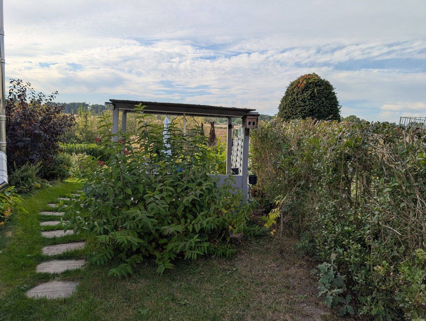 Bild 8