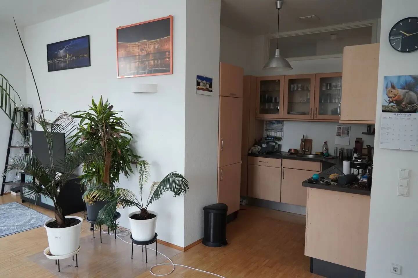 Bild 6