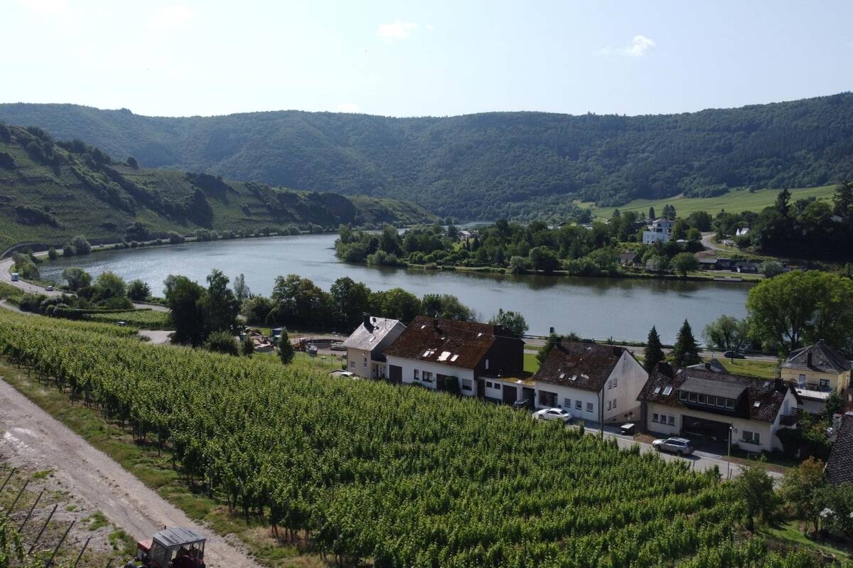 Bild 9