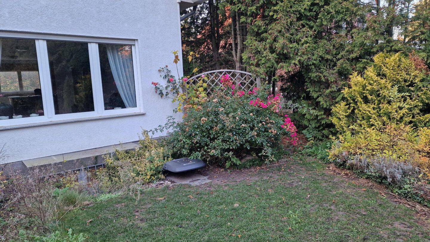 Bild 11