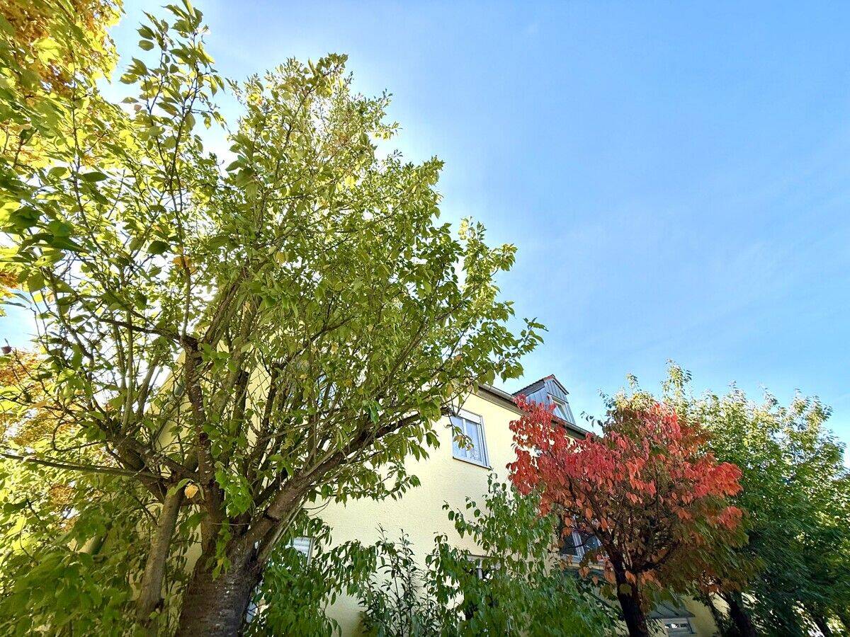 Im Grünen, in Ruhe und mit Blick! Ihre 2 Zimmer Wohnung in Beratzhausen!, 93176 Beratzhausen