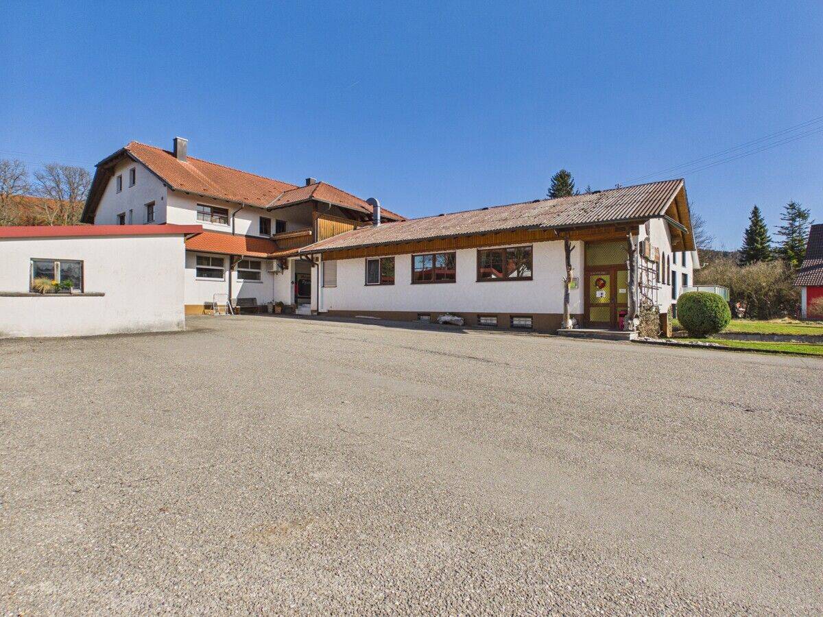 Wohn- und Geschäftshaus mit Potenzial zur Umnutzung in Wohnraum!, 78661 Dietingen