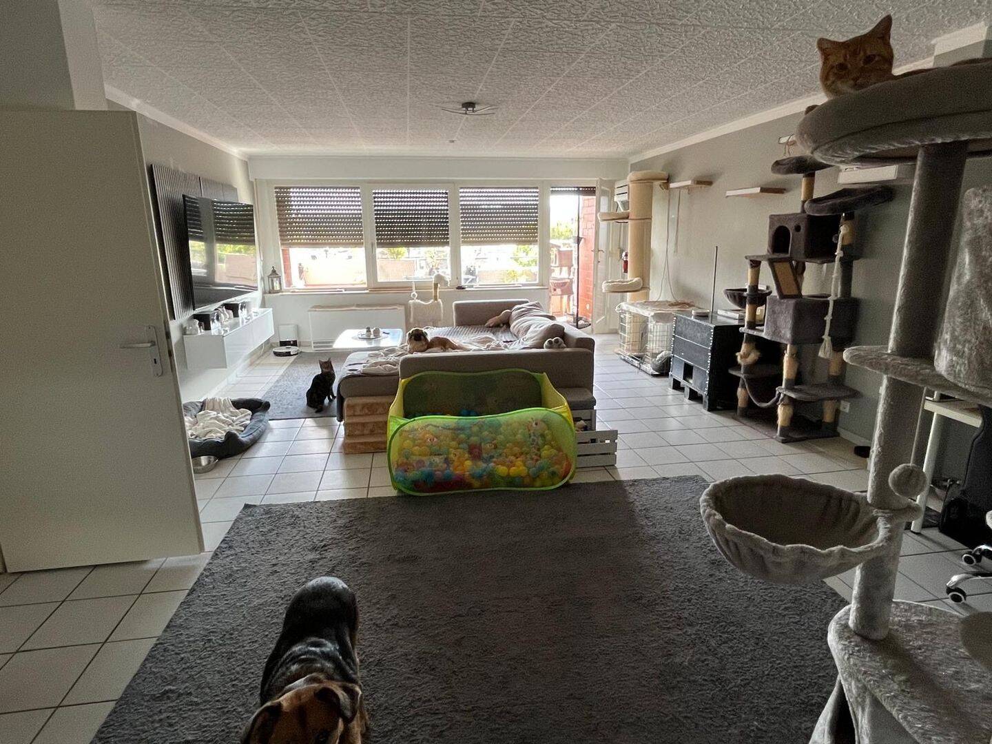 4 Zimmer Wohnung in Lüstringen, 49086 Osnabrück (Darum Gretesch Lüstringen Voxtrup Widukindland)