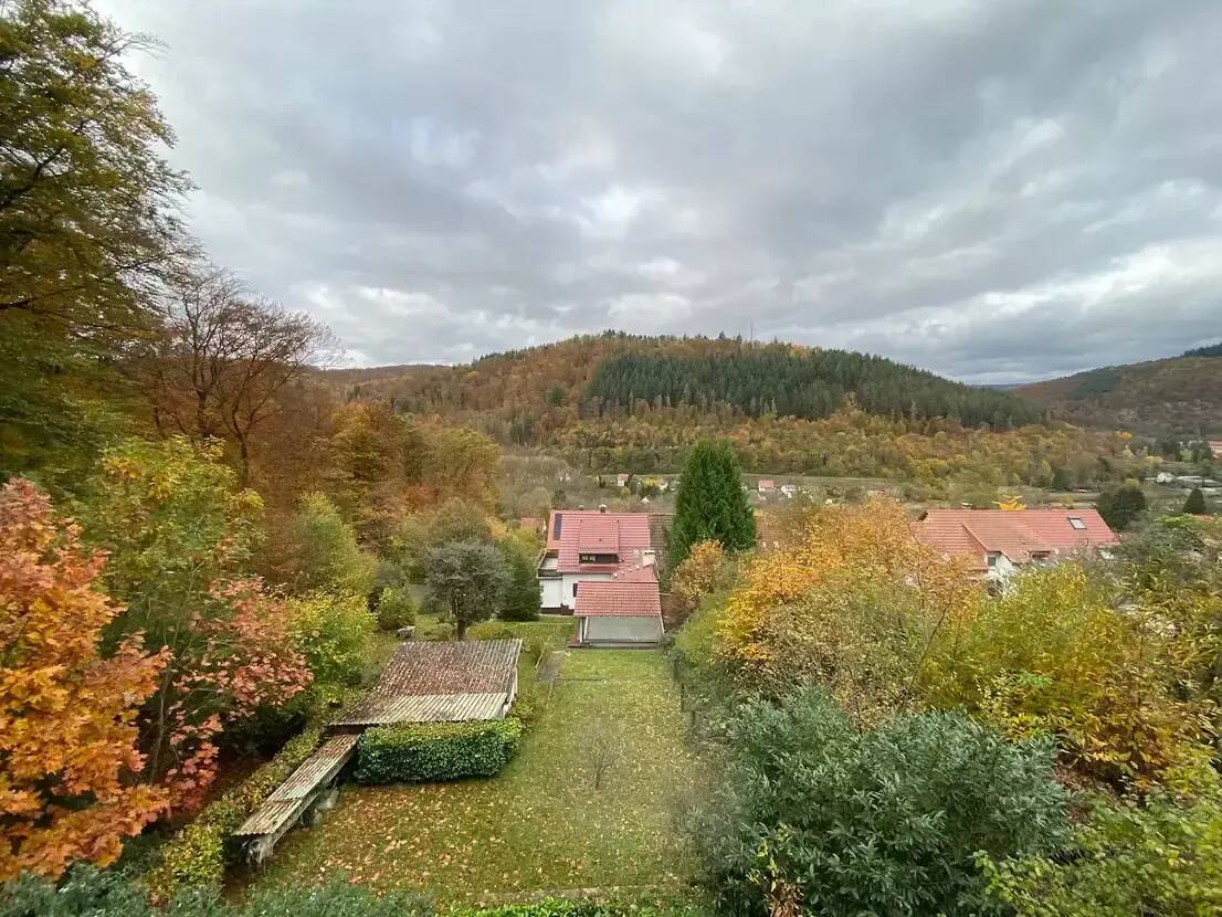 2-Zimmer Wohnung mit Terrasse in Neckargemünd, 69151 Neckargemünd