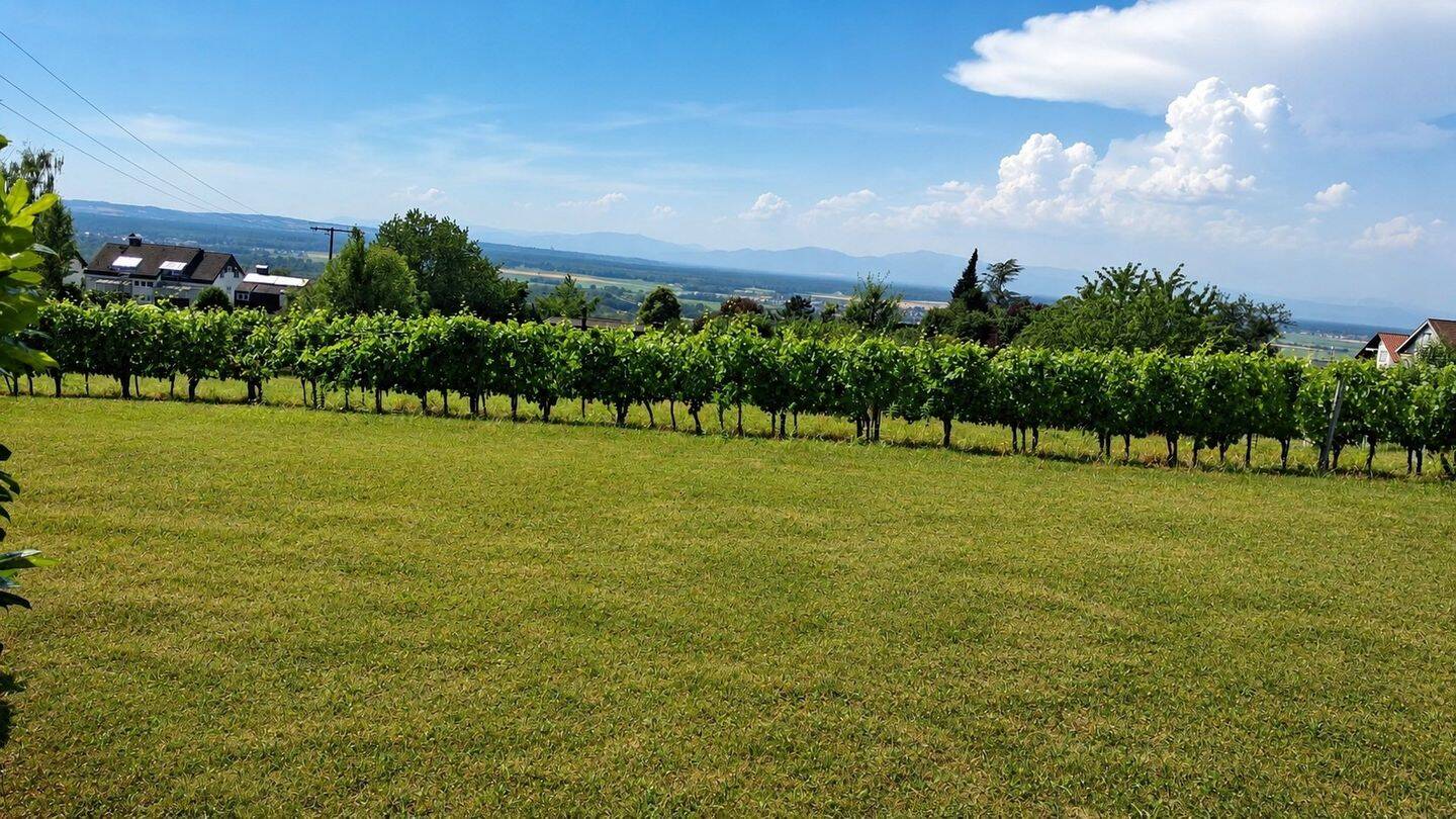 Helle 2-Zi.-EG-Wohnung mit Gartenanteil, TG-Platz & Weitblick, 79415 Bad Bellingen