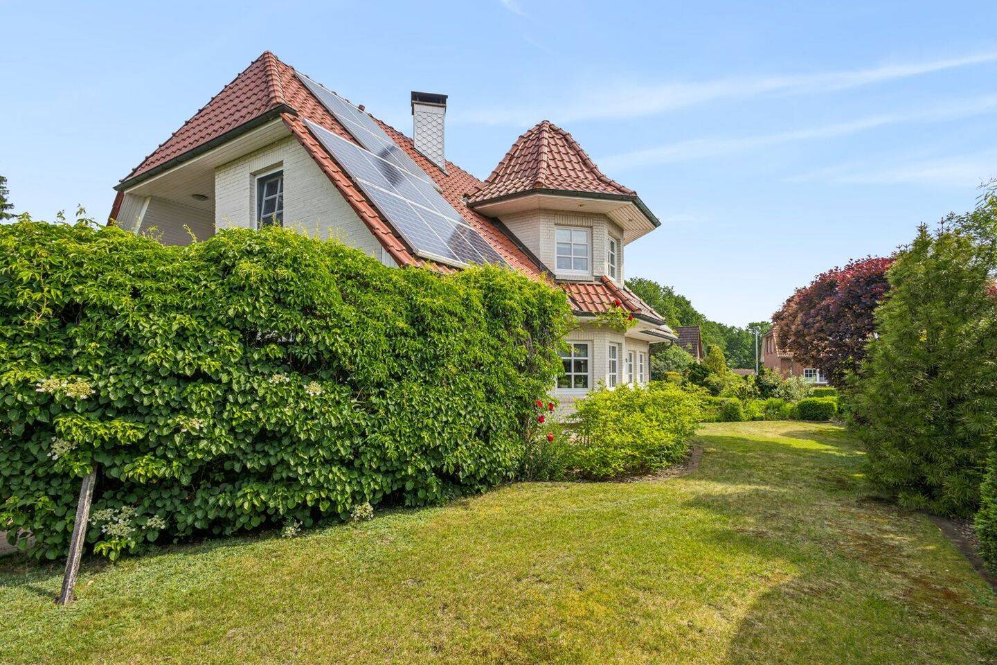 Bild 7