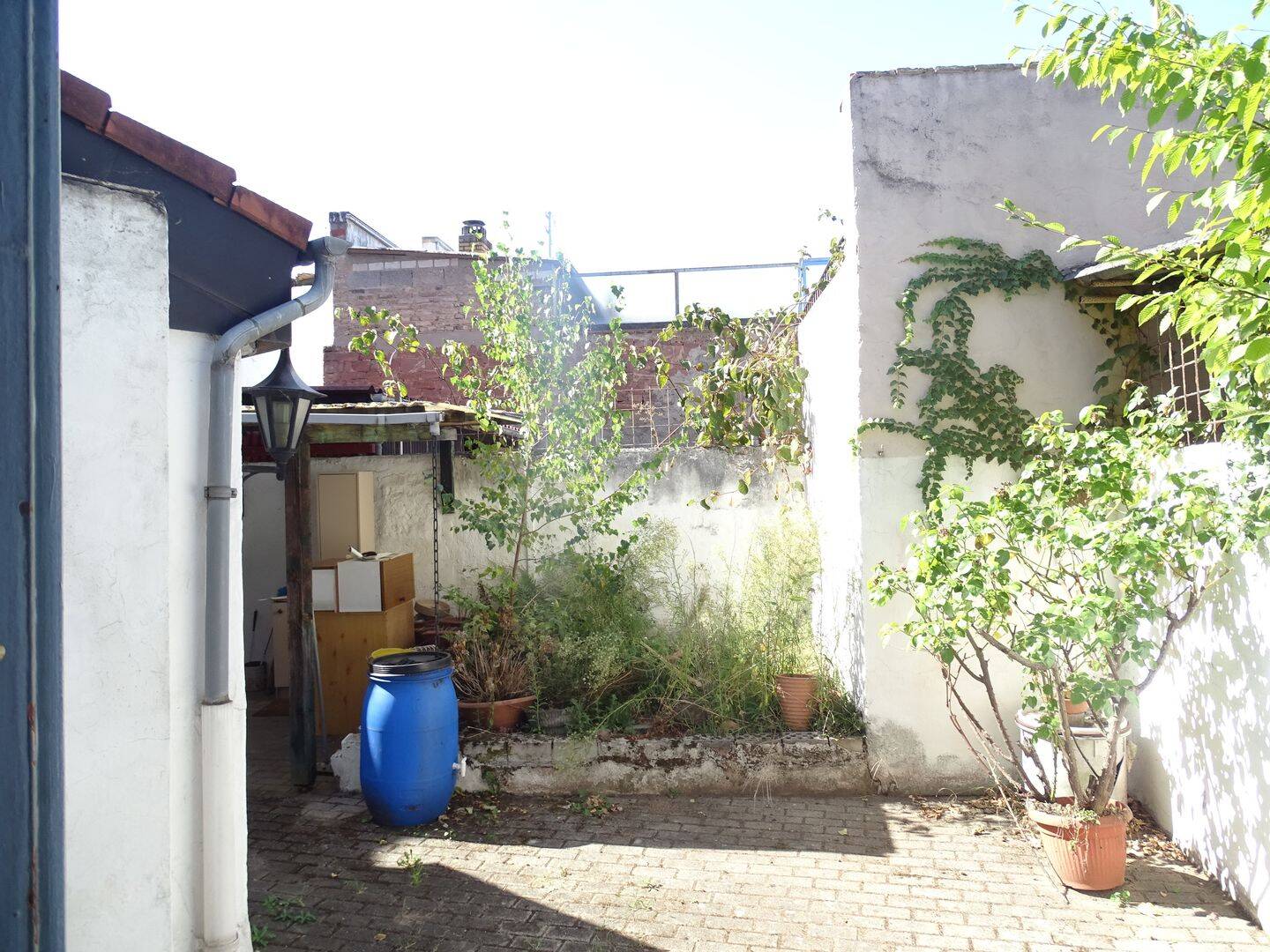 Bild 7