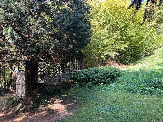 Bild 12