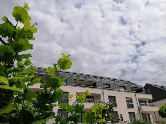 Modern Wohnen in Guxhagen, 34302 Guxhagen