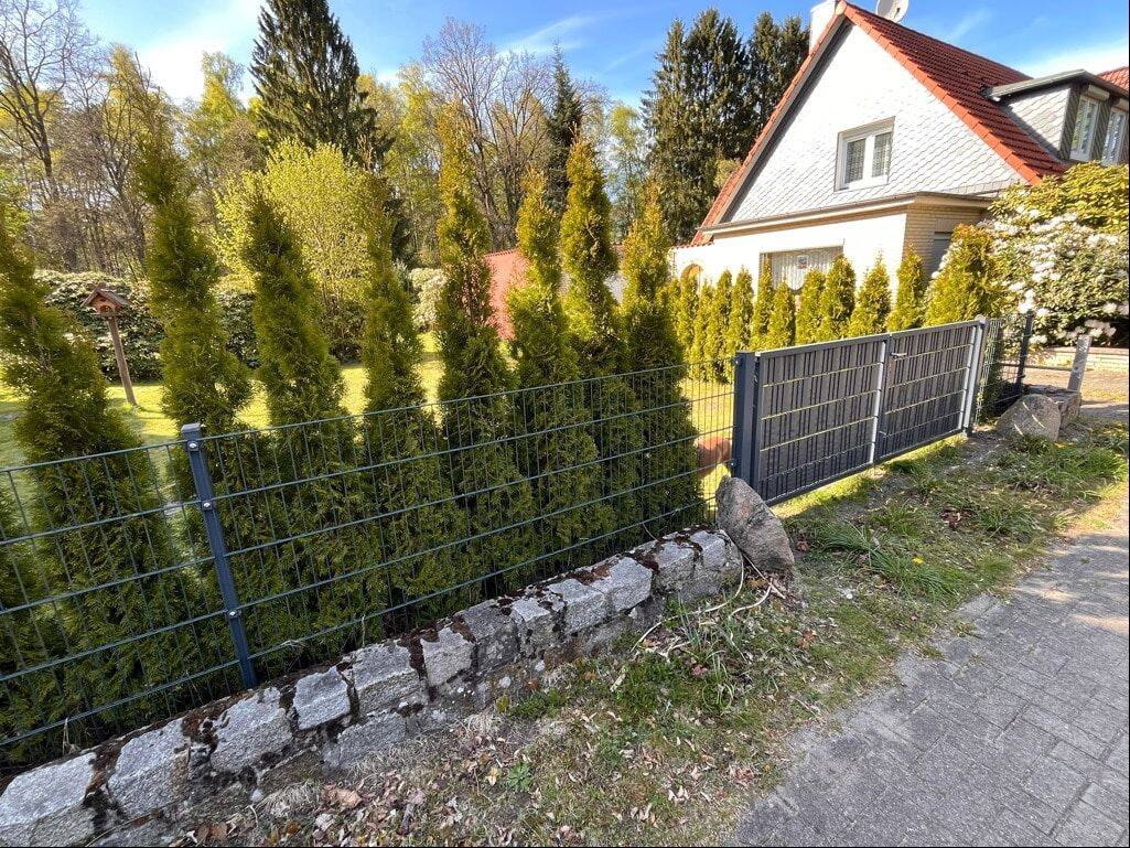 Bild 7