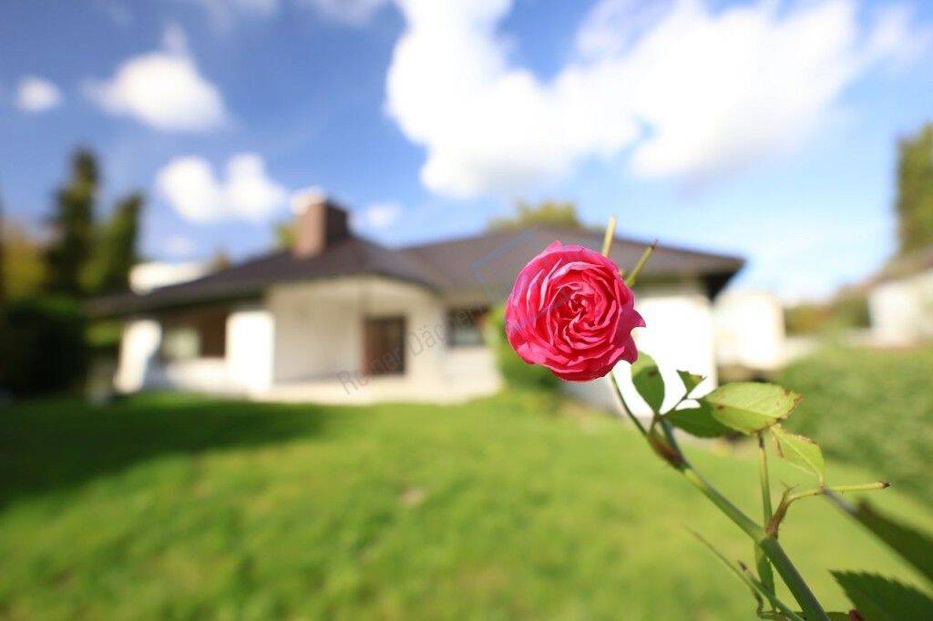 DER BUNGALOW …, 64367 Mühltal