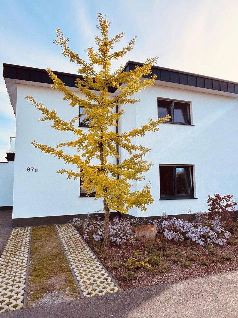 Moderne Doppelhaushälfte mit Seeblick (courtagefrei), 48480 Lünne