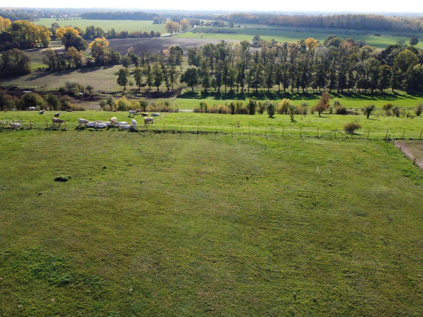 Baugrundstück für Einfamilienhaus in 06258 Röglitz, 6258 Schkopau