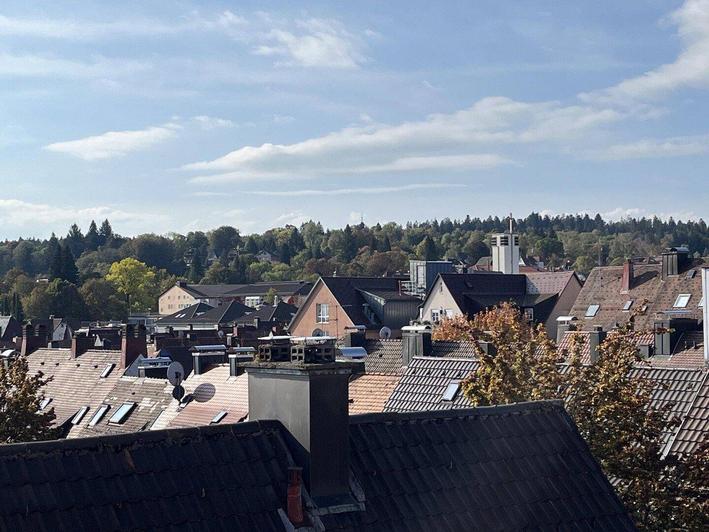 Schöne Dachgeschosswohnung mit ausgebautem Dachboden im Herzen Freudenstadts, 72250 Freudenstadt