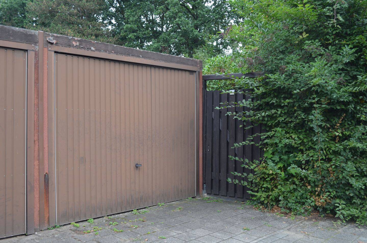 Bild 12