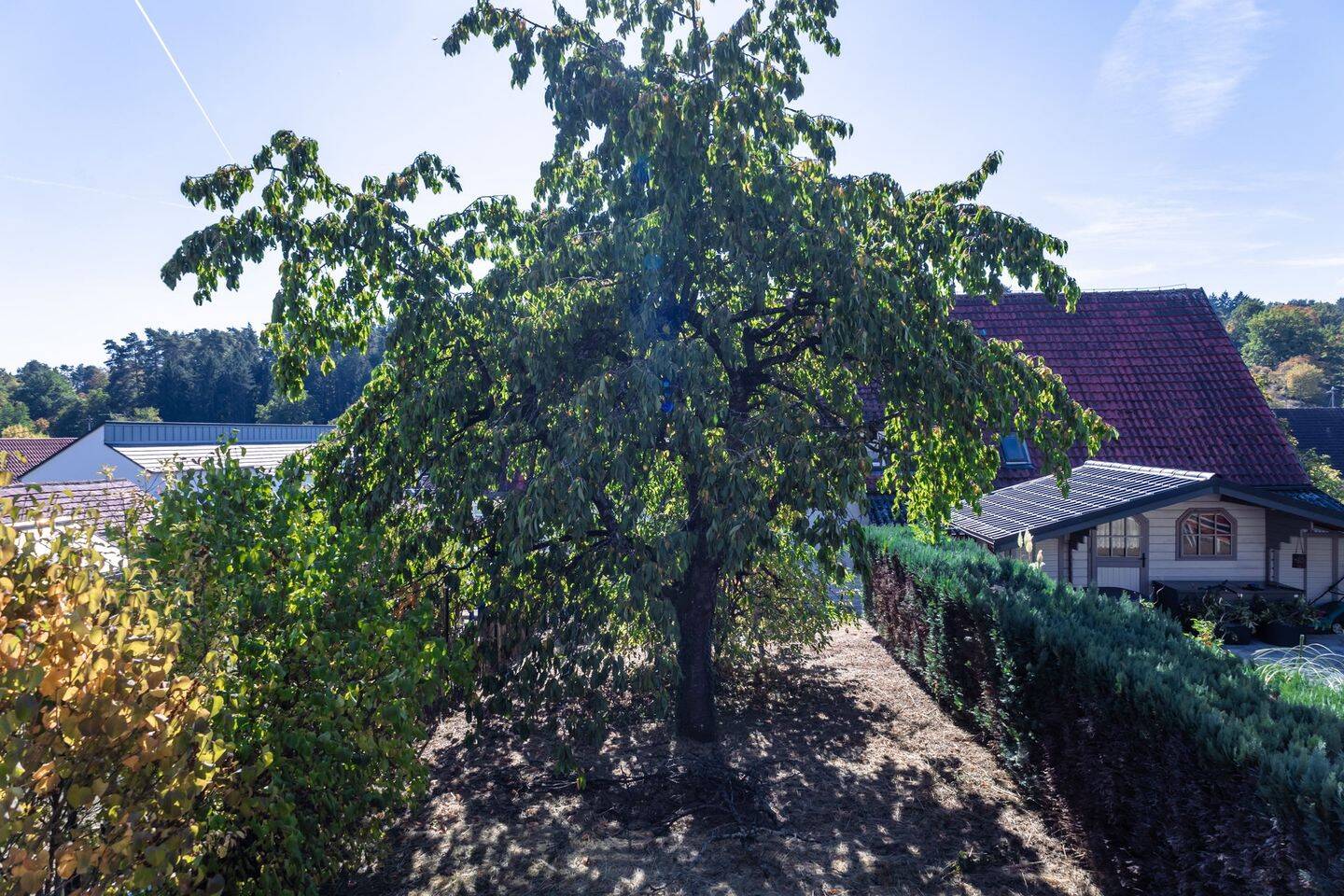 Bild 12