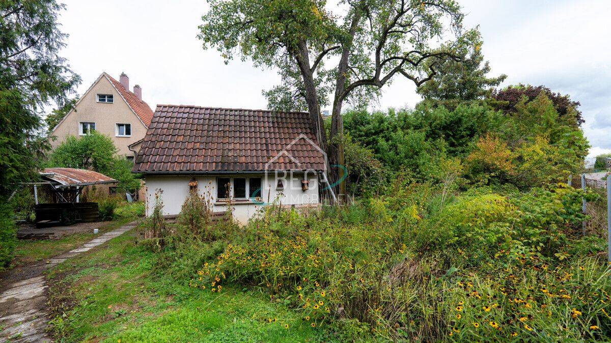 Bild 11