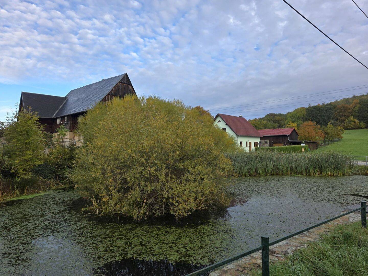 Bild 11