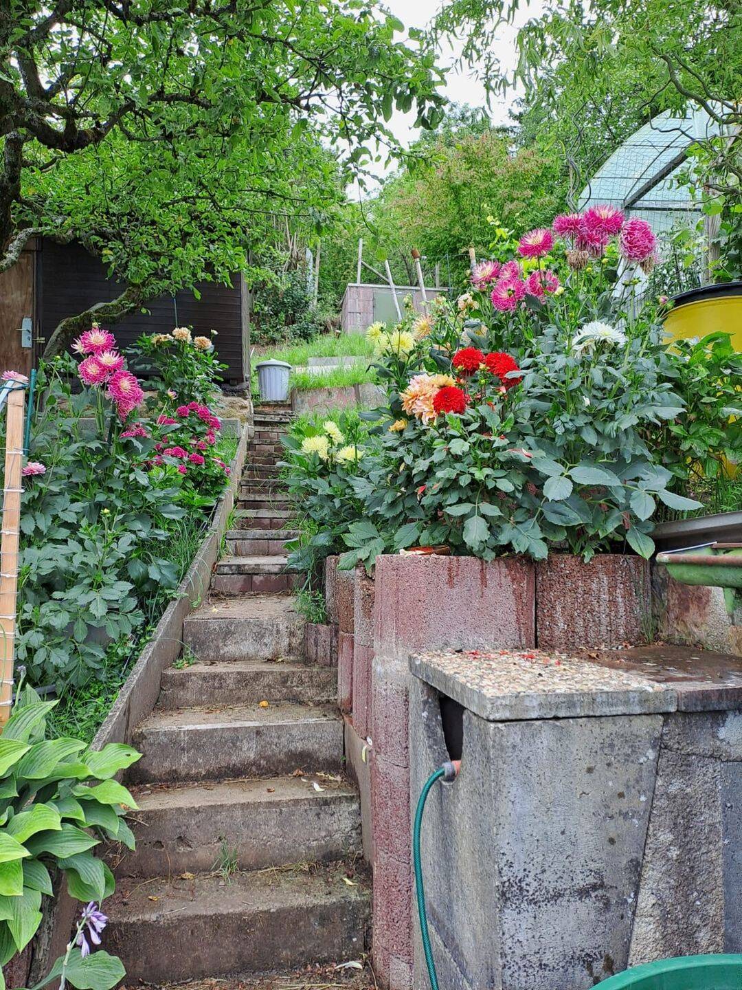 WUNDERSCHÖNES WOCHENENDGRUNDSTÜCK IN AUSSICHTSLAGE mit Gartenlaube und Parkplatz, S-Wangen – 705-23, 70327 Stuttgart