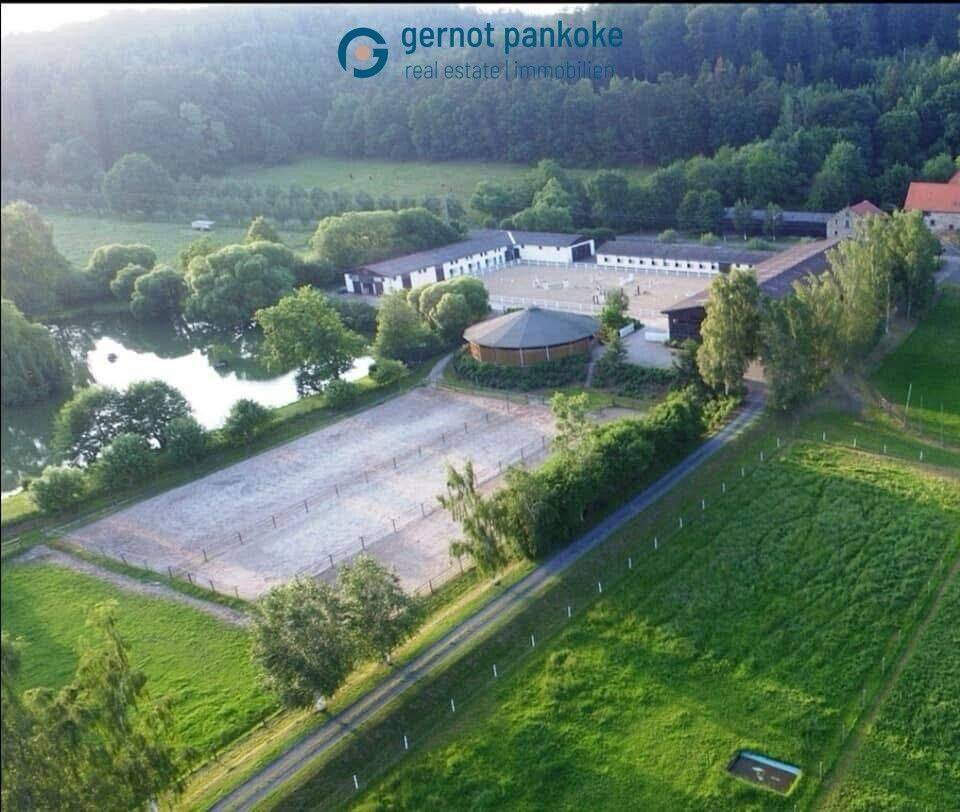 Das renommierte Gestüt Wäldershausen steht zum Verkauf, 35315 Homberg (Ohm)