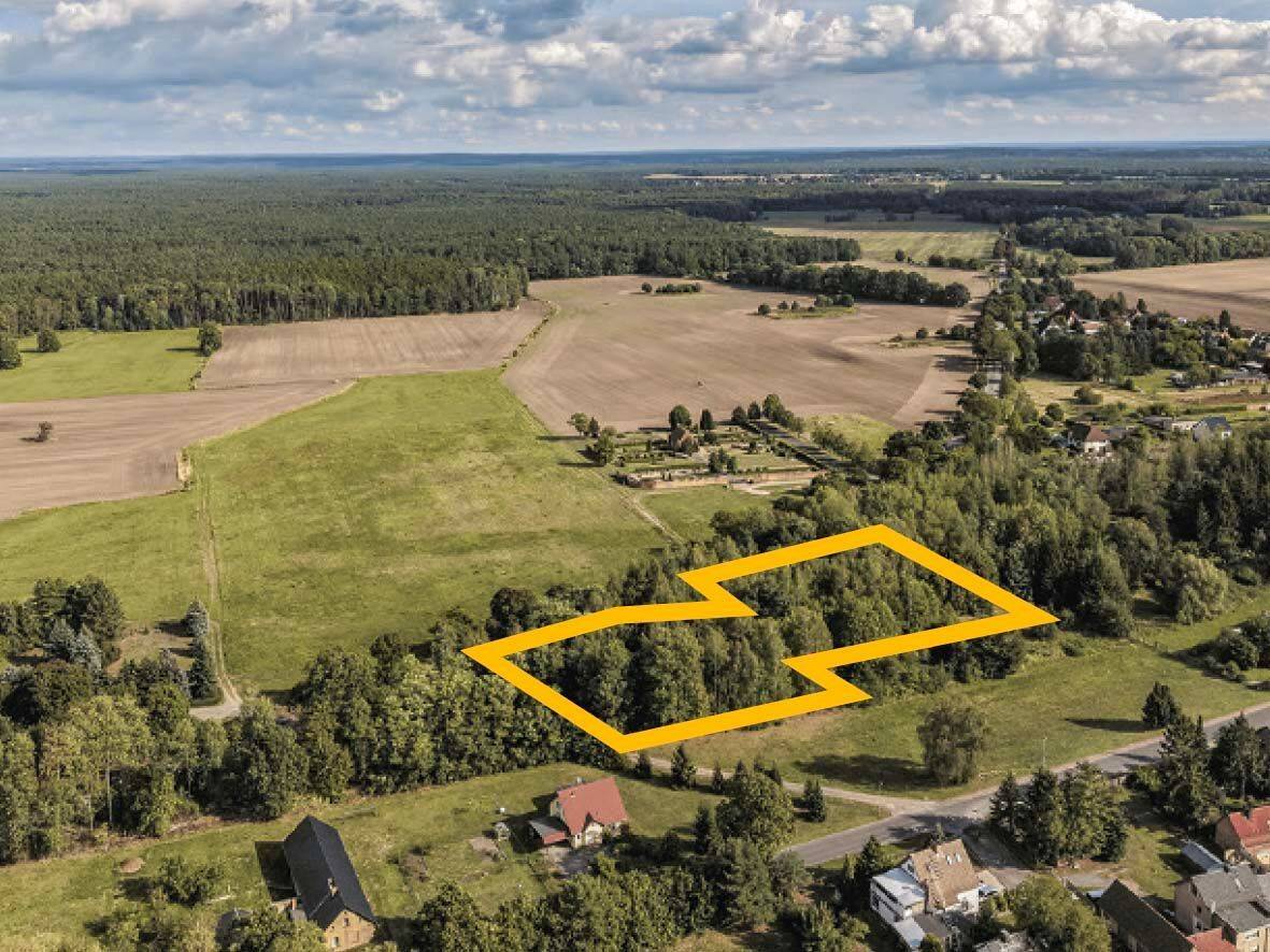 AUKTION: unbebautes Grundstück mit Baum- und Strauchbestand, 3130 Tschernitz