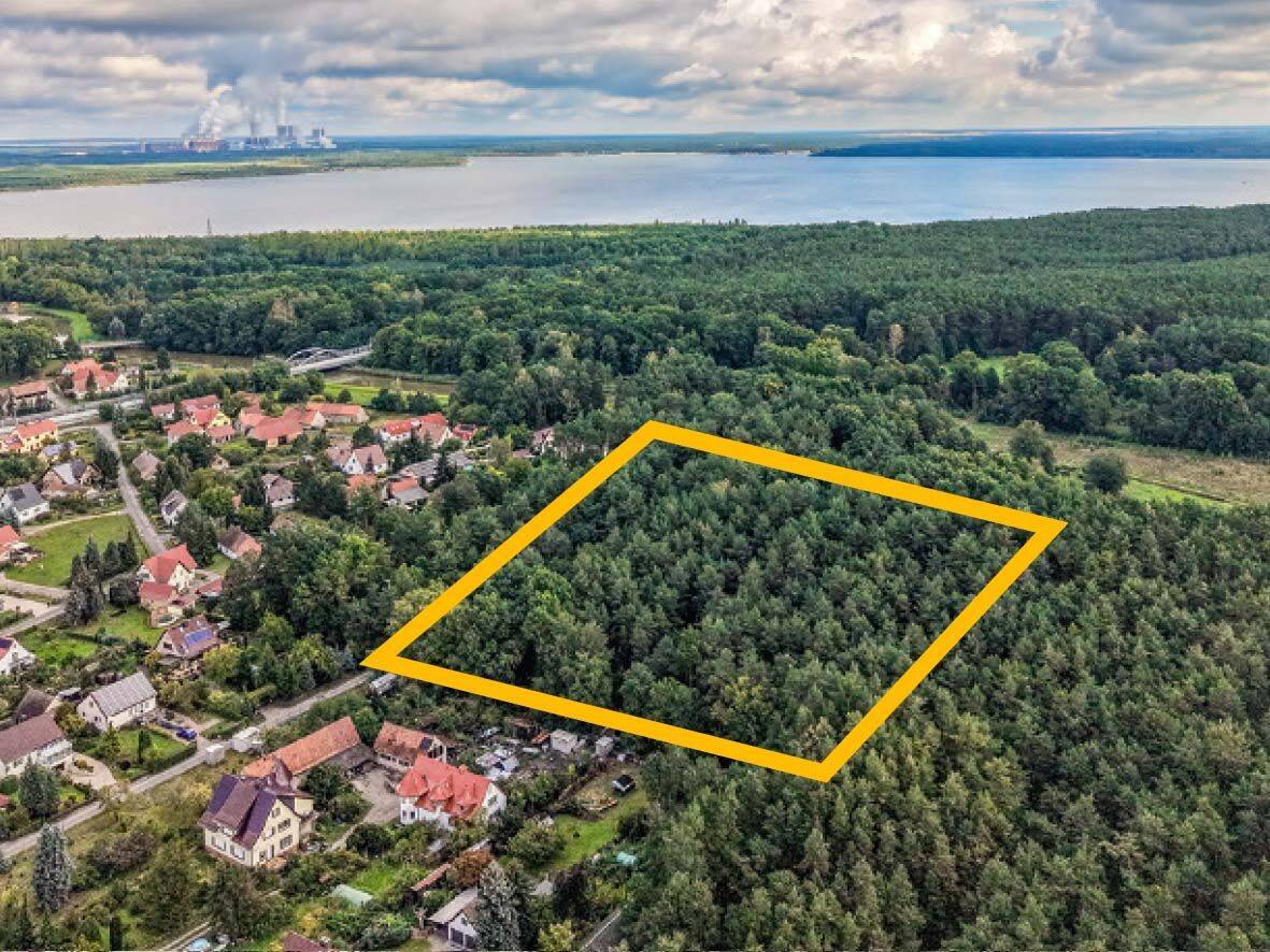 AUKTION: 1,3 ha Waldflächen und sonstige Flächen, 2943 Boxberg/O.L.