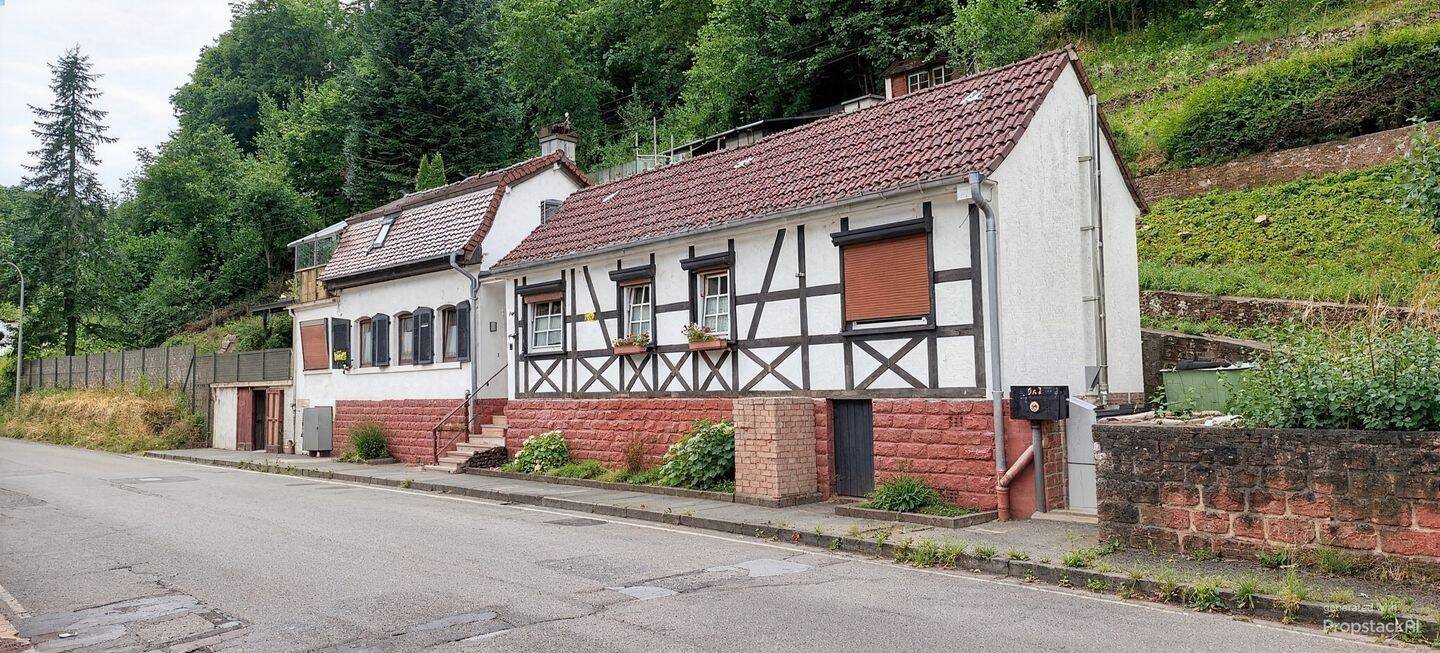 Einfamilienhaus mit Pool, Werkstatt und großzügigem Grundstück in Esthal, 67468 Bad Dürkheim