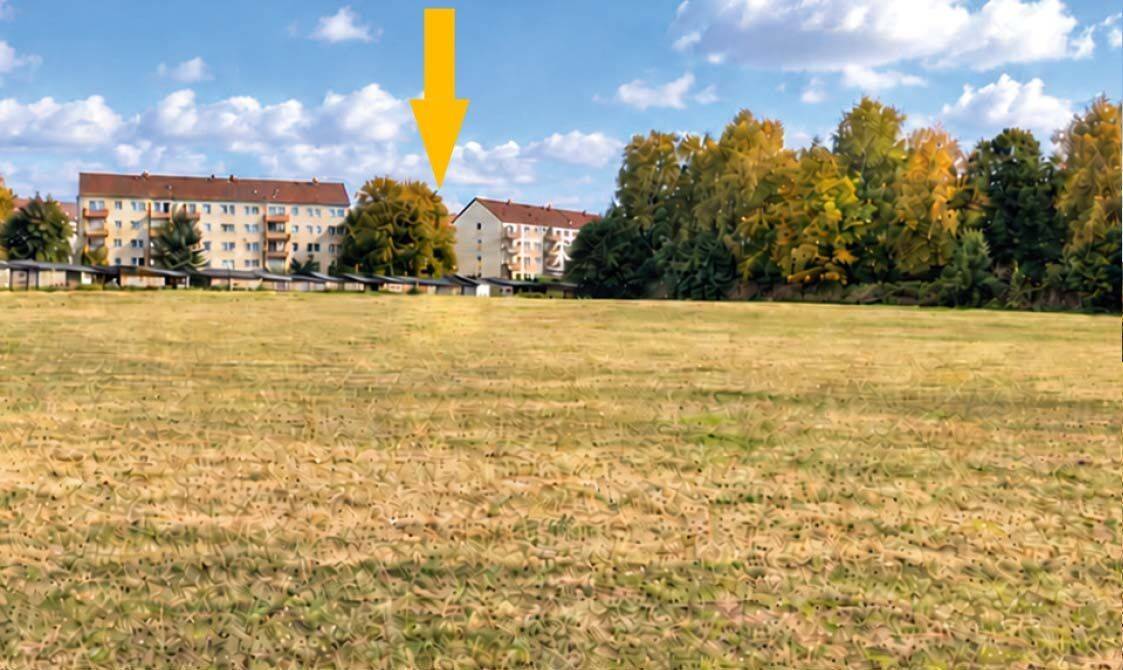 AUKTION: 0,9 ha Landwirtschaftsfläche, 8112 Wilkau-Haßlau