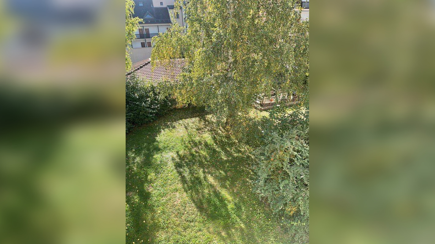 Bild 7