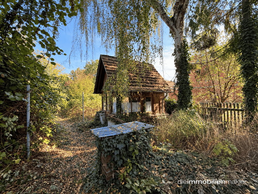 Bild 11