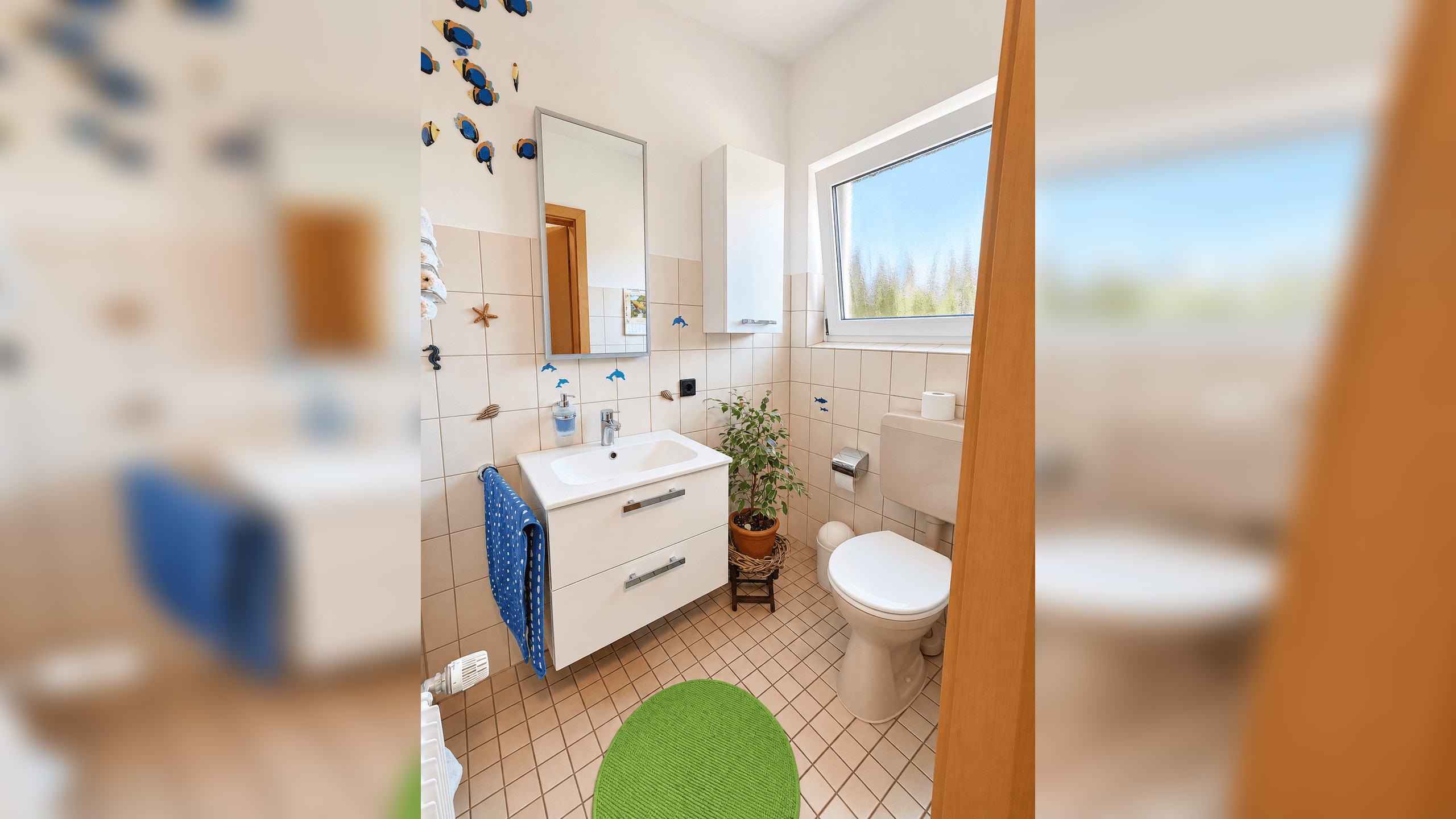 Bild 11