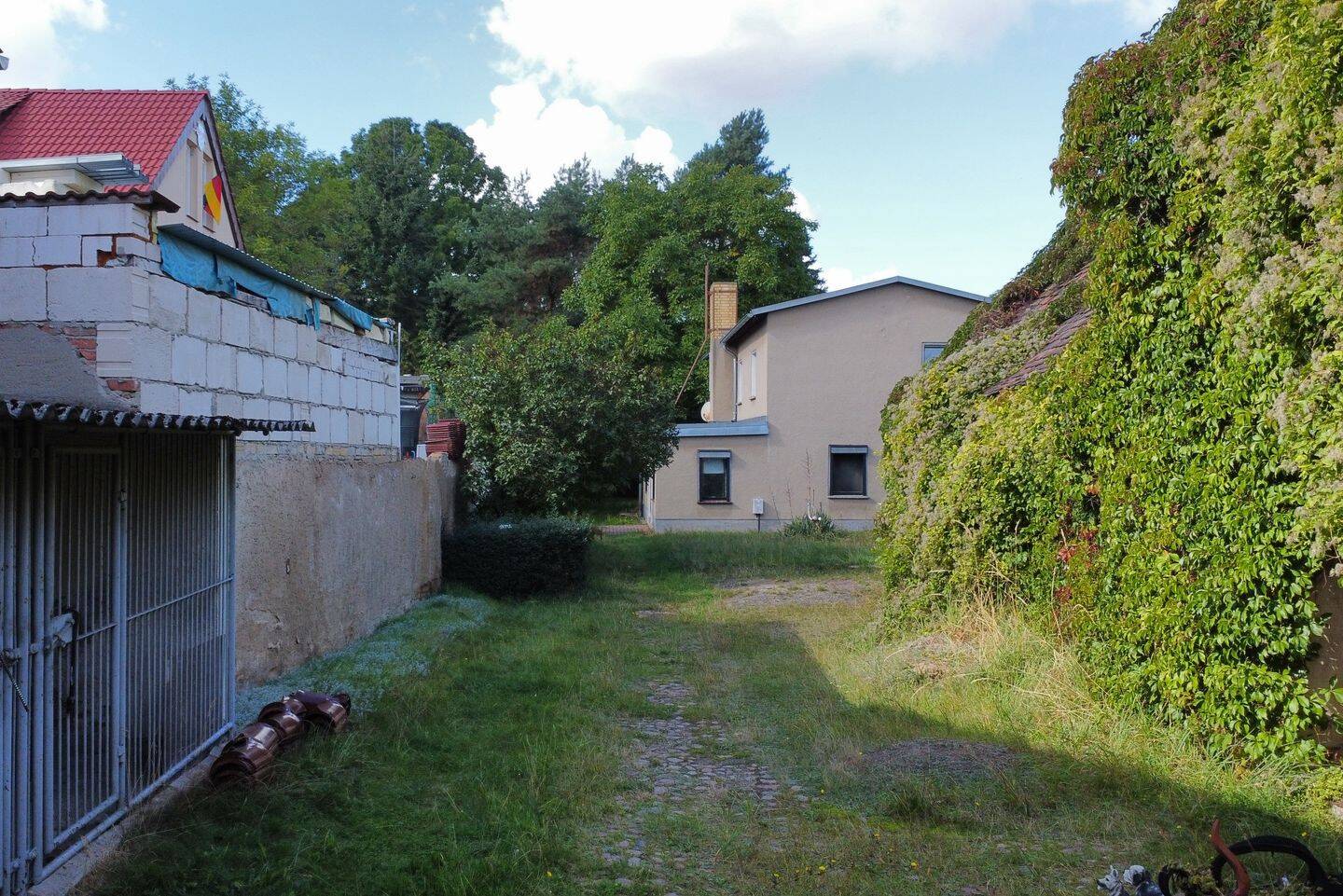 Bild 5