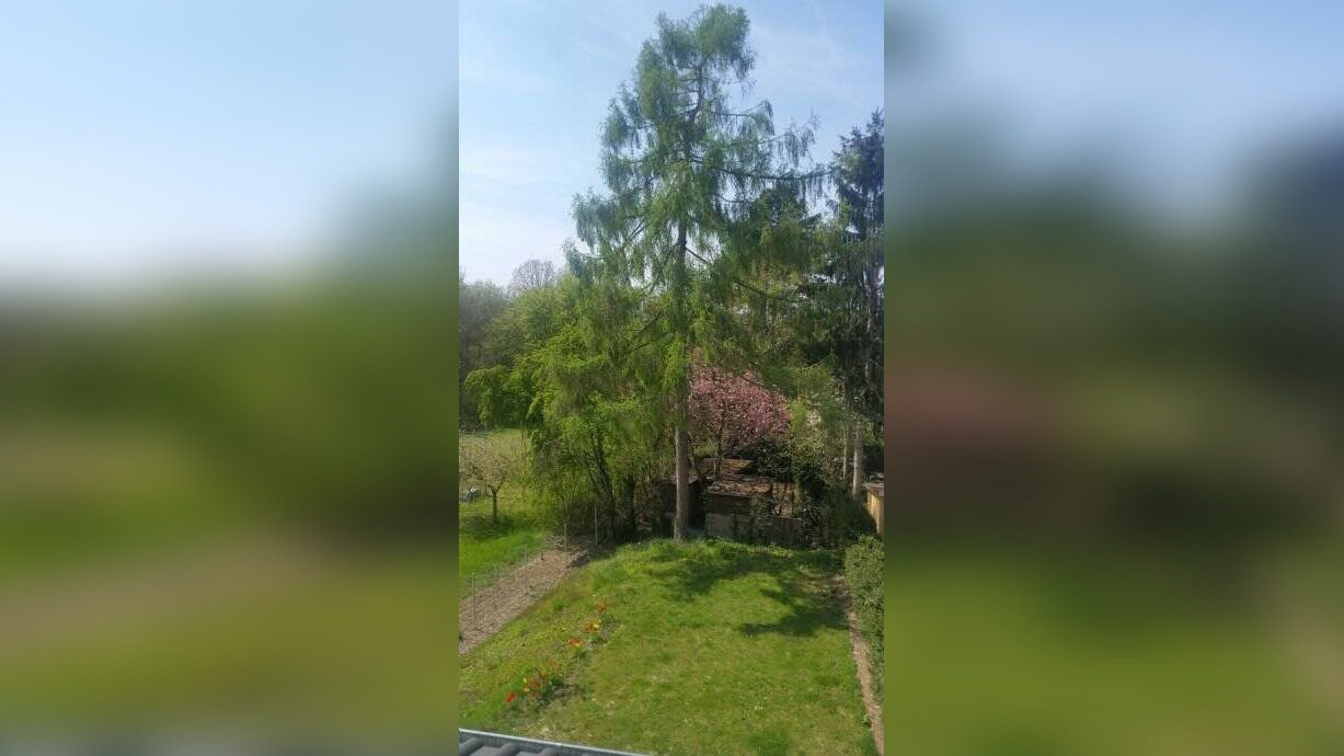 Bild 11
