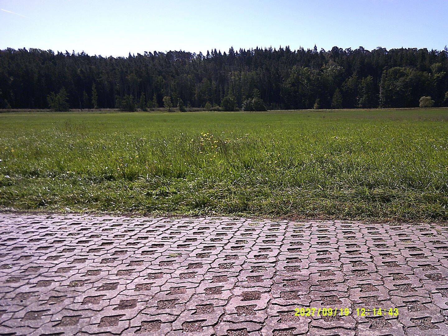 Wiese, Gemarkung Kehlmünz – im Bibertgrund, 90599 Dietenhofen