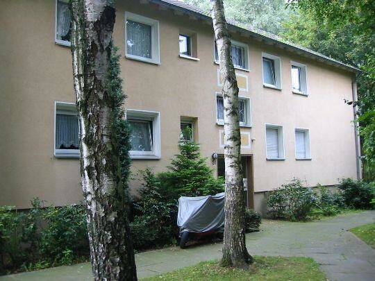 bezugsfertige 2-Zi-Wohnung in Sackgasse, 44866 Bochum (Günnigfeld Leithe Sevinghausen Wattenscheid Westenfeld)