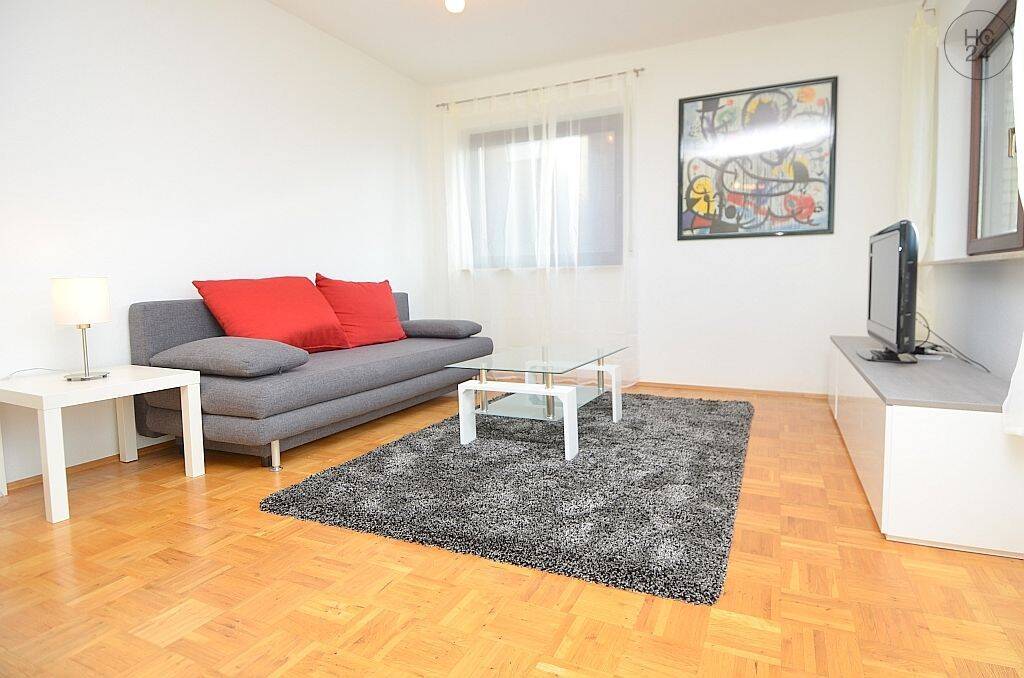 Helle Möblierte 2-Zimmer Wohnung mit Internet und PKW-Stellplatz in Mainz Hechtsheim, 55129 Mainz (Bretzenheim Ebersheim Hechtsheim)