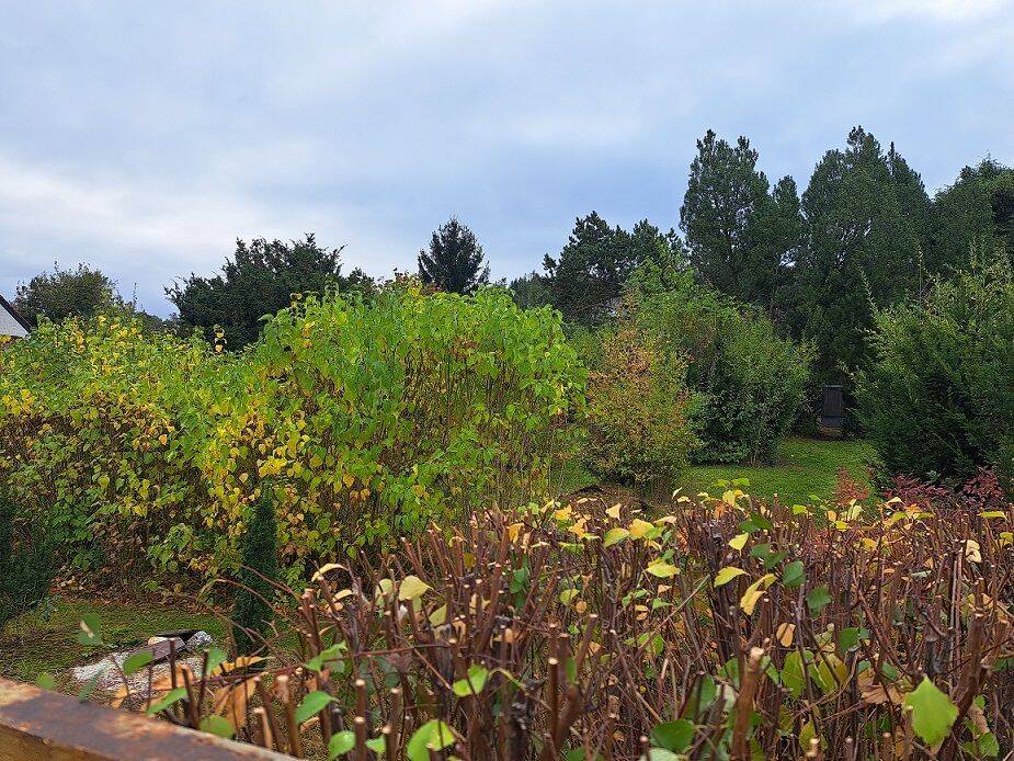 Ein Ort zum Durchatmen: Ihr grünes Refugium in der Hochschulstadt Plauen, 8527 Plauen