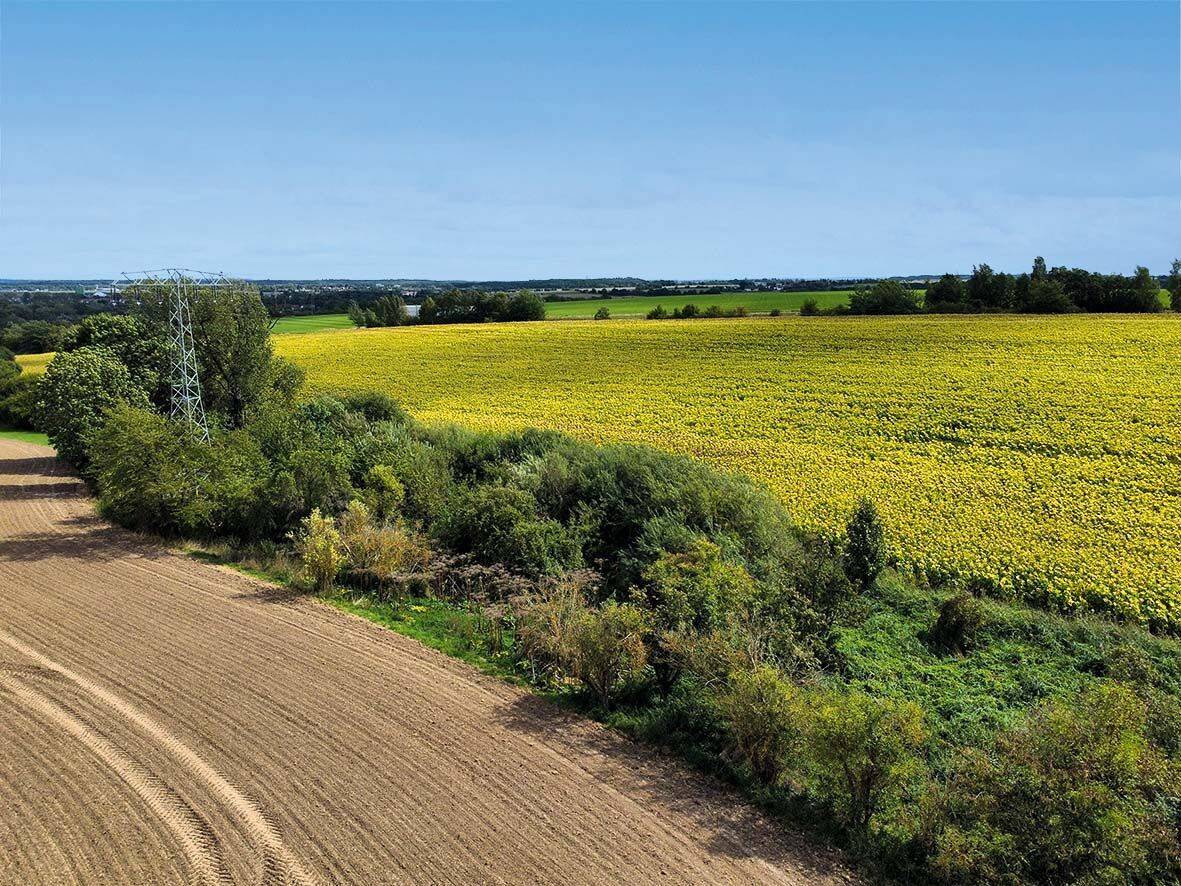 AUKTION: Landwirtschaftsfläche, u.a. Grundstücke, 4600 Altenburg