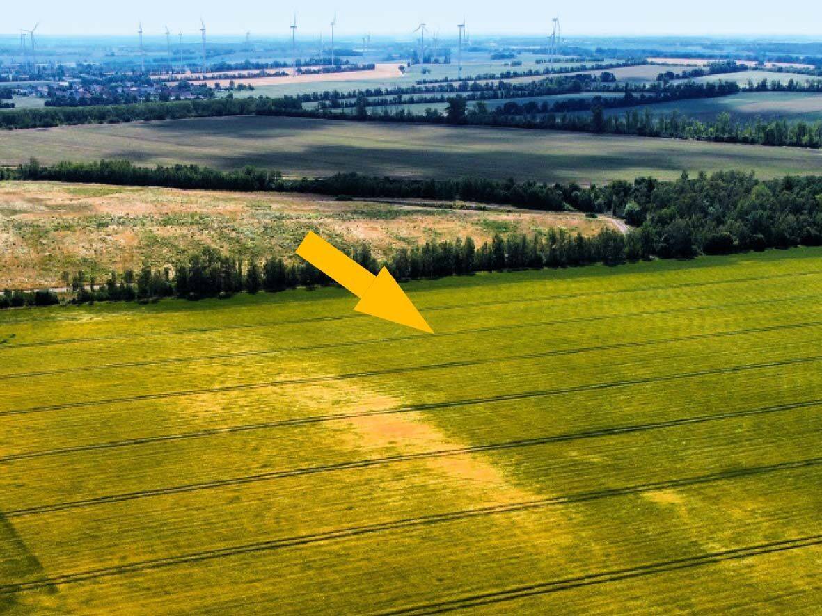 AUKTION: 1,9 ha Acker-/ Grünland und Wasserfläche, 4610 Meuselwitz