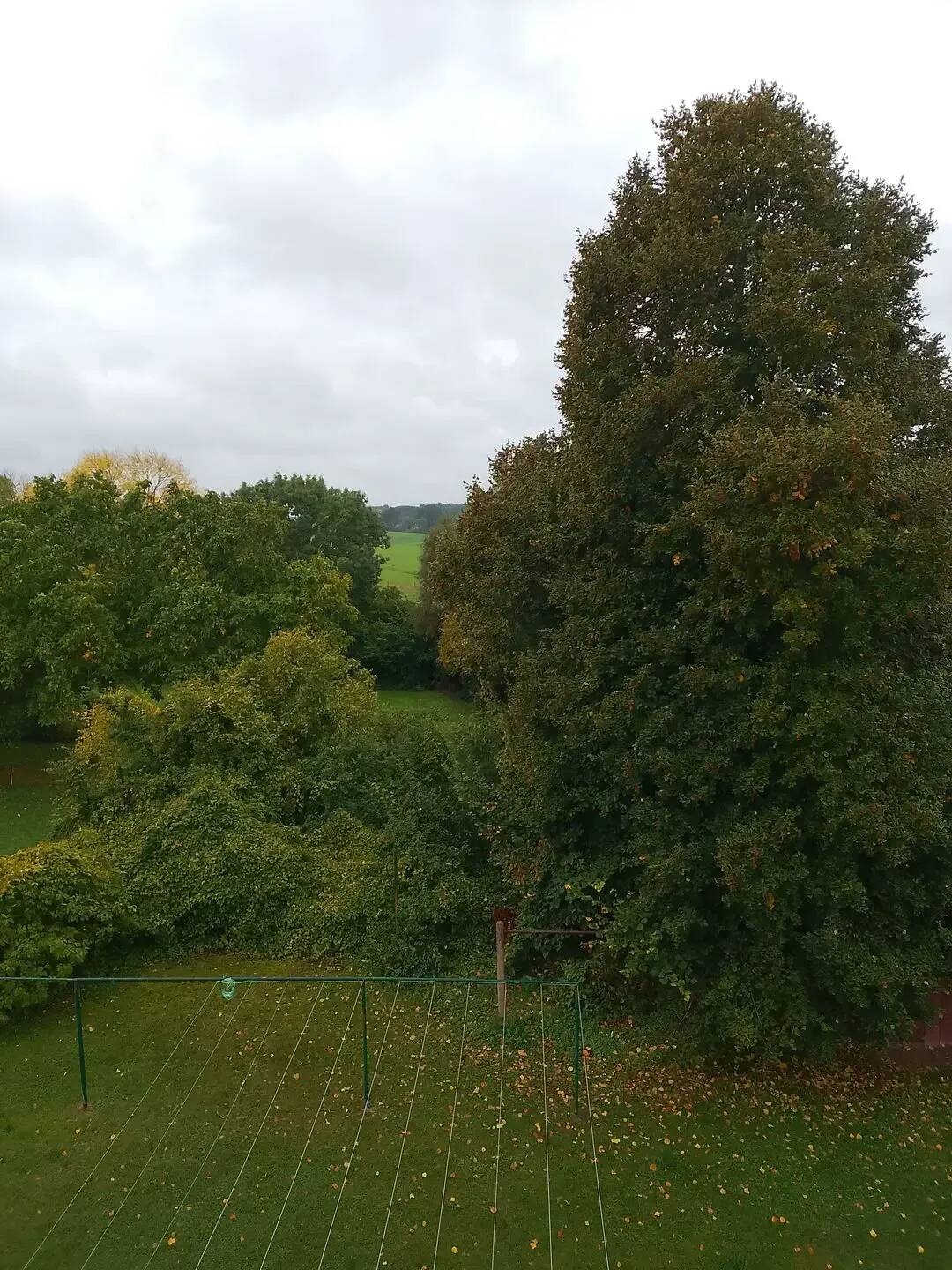Naturnahe 3-RWG im Herzen Mecklenburg-Vorpommerns, 17166 Schorssow