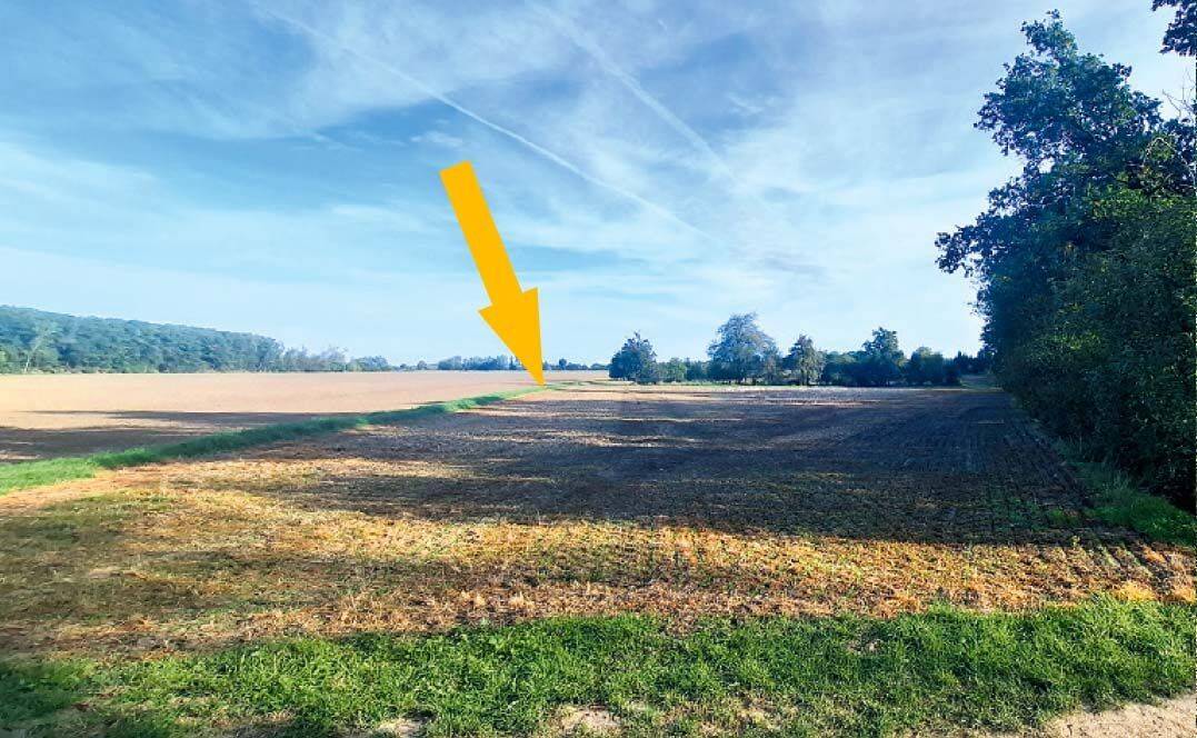 AUKTION: 1,7 ha Landwirtschafts-, Verkehrs- und Wasserfläche, 4610 Meuselwitz
