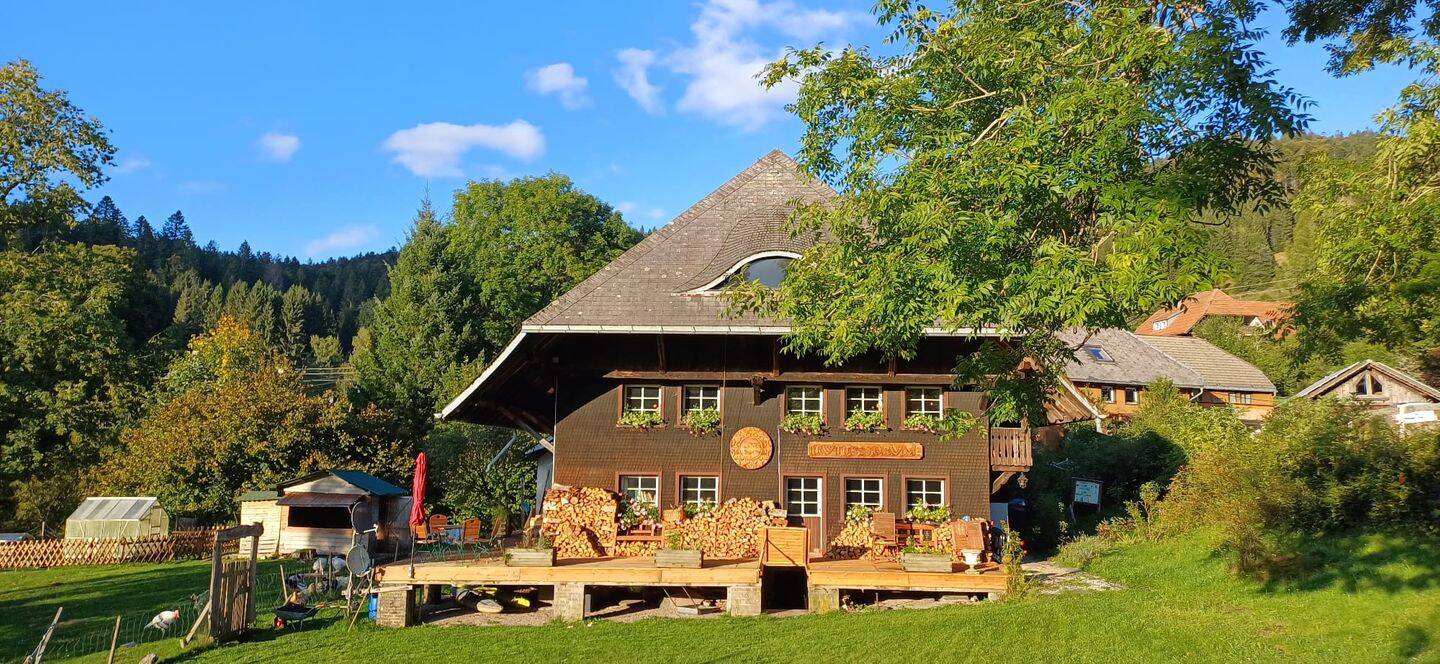 3-Zimmerwohnung im urigen Schwarzwaldhaus, 79682 Todtmoos