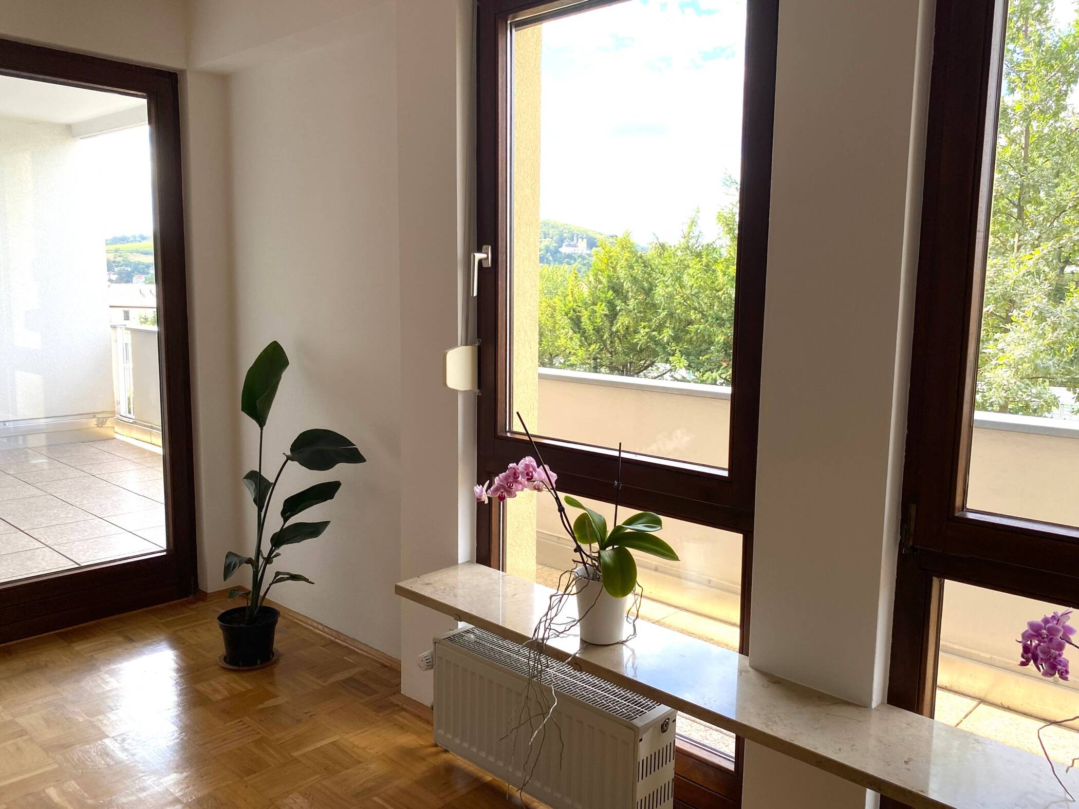Großzügige, lichtdurchflutete Dreizimmerwohnung im Frauenland, 97074 Würzburg (Frauenland Sanderau)