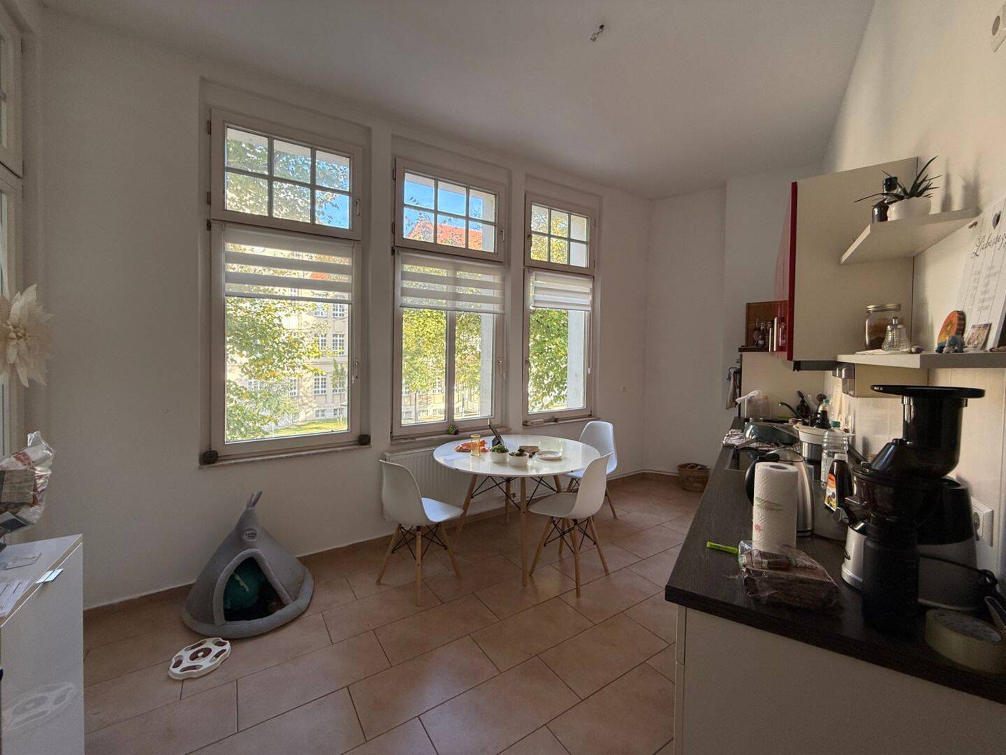 Traumhaftes Wohnen im Herzen von Magdeburg – Moderner Komfort trifft beste Stadtlage, 39104 Magdeburg (Altstadt Buckau)