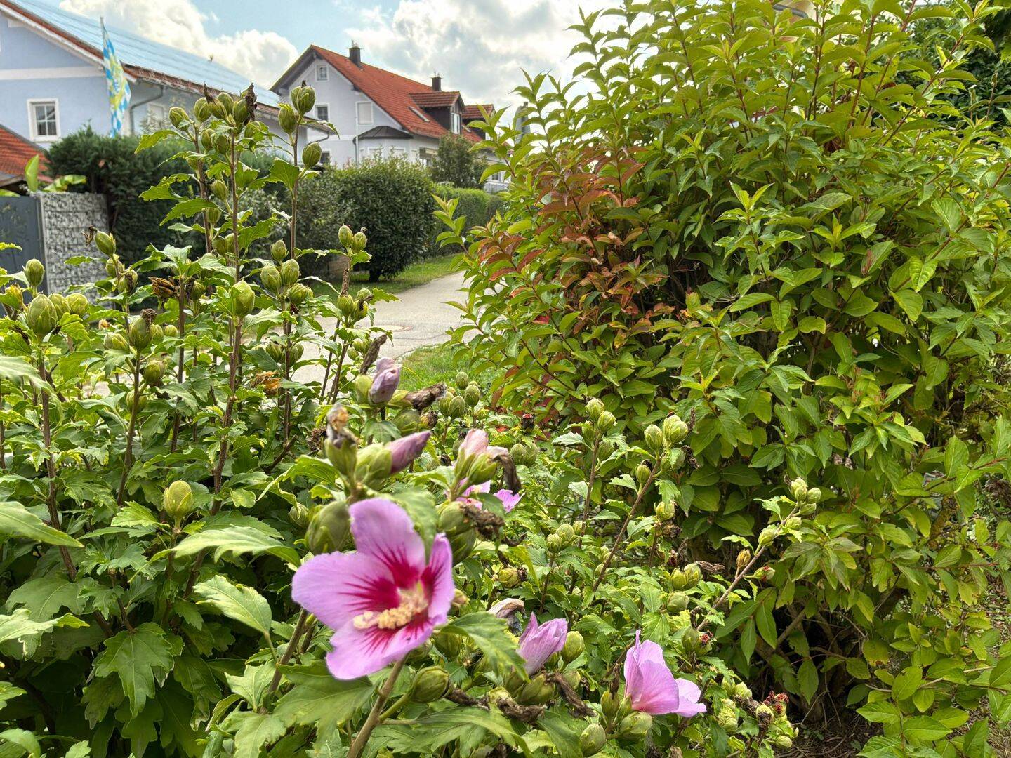 Bild 6