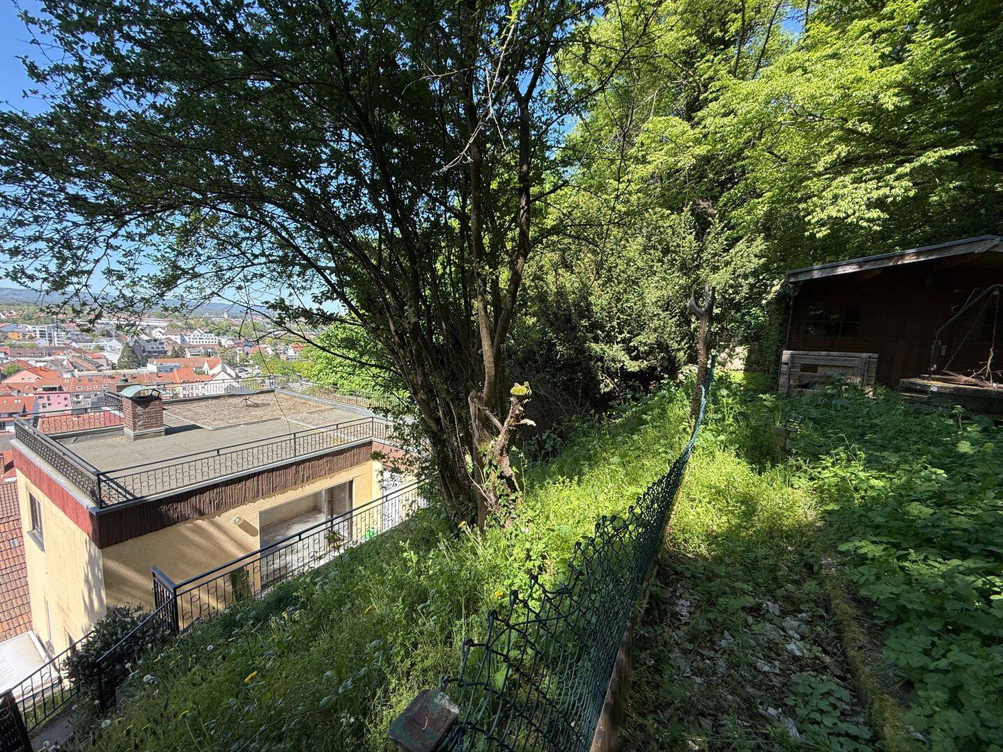 Bild 11