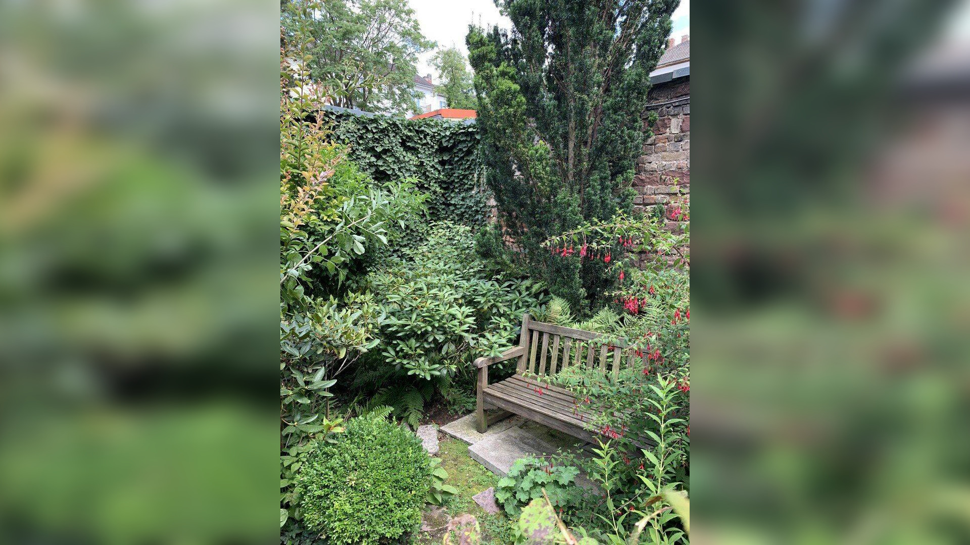 Bild 10