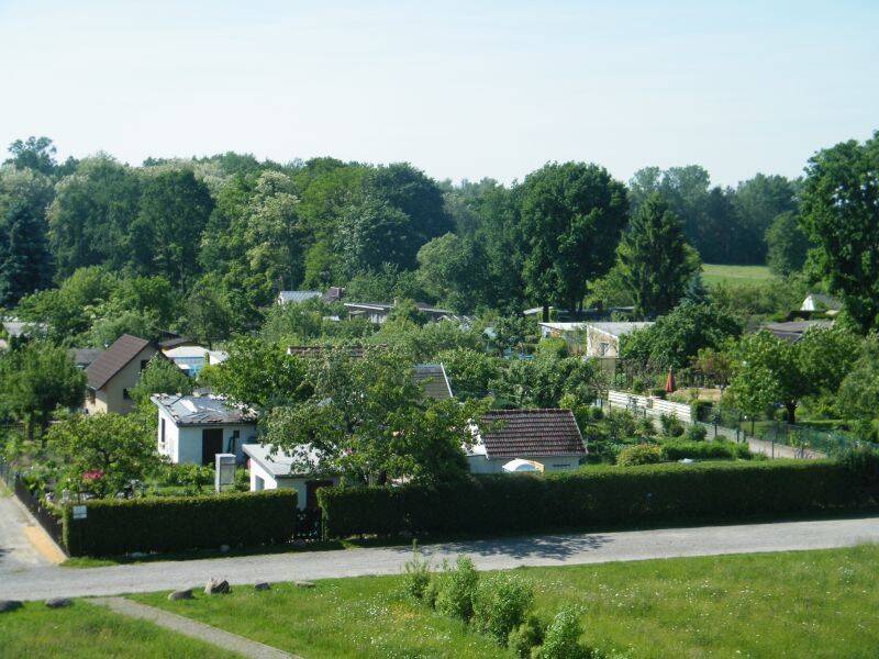 Bild 11