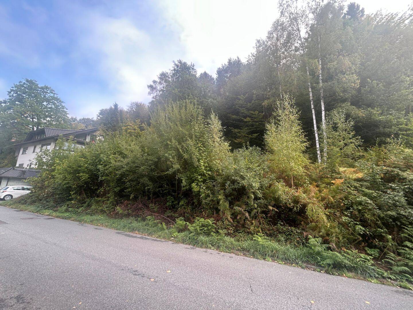Attraktives Baugrundstück mit ca. 940 m² in idyllischer Hanglage von Schönau, 69250 Schönau