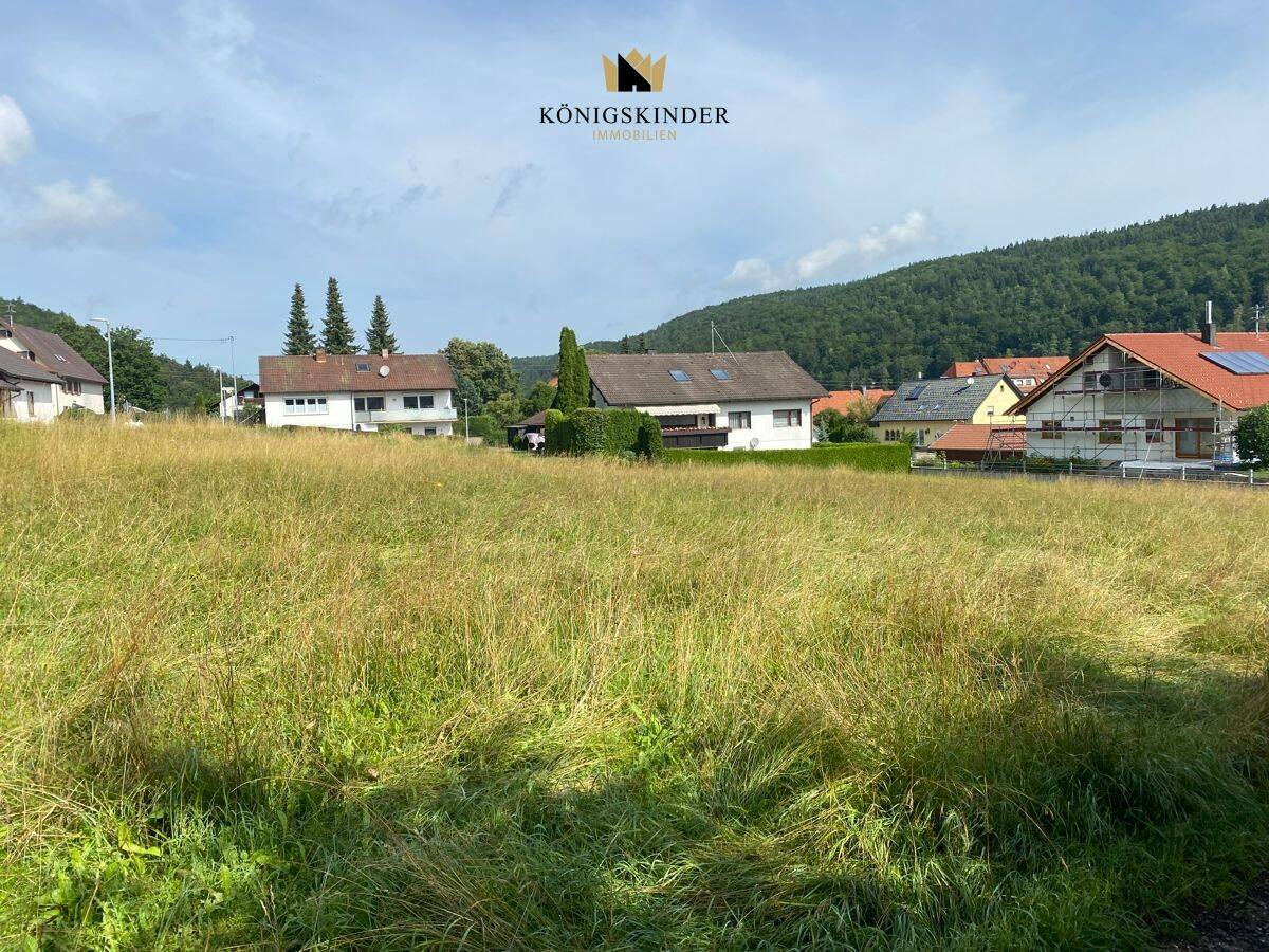 Provisionsfrei mit Baugenehmigung! Tolles Baugrundstück – Bebaubar mit einem EFH oder DH!, 72393 Burladingen